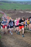 Click on thumbnail for larger photo